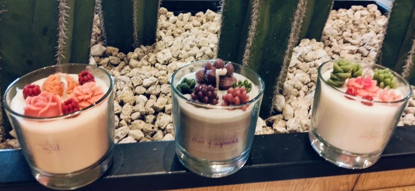 Velas cactus